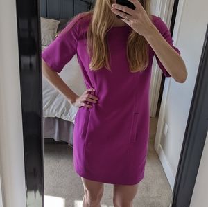 The Limited Magenta Dress